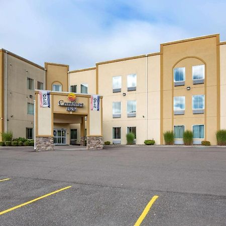 Comfort Inn Apalachin - Binghamton W Route 17 Екстериор снимка
