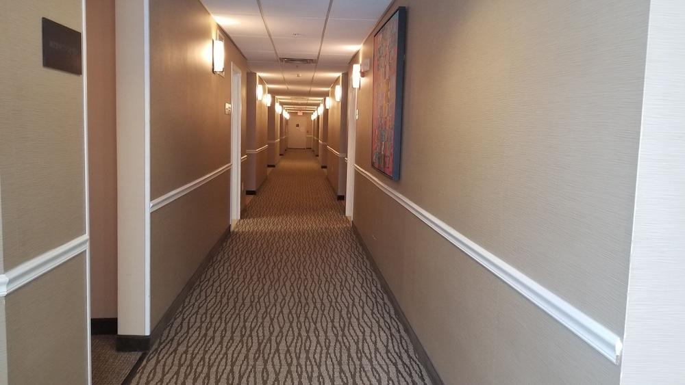 Comfort Inn Apalachin - Binghamton W Route 17 Екстериор снимка