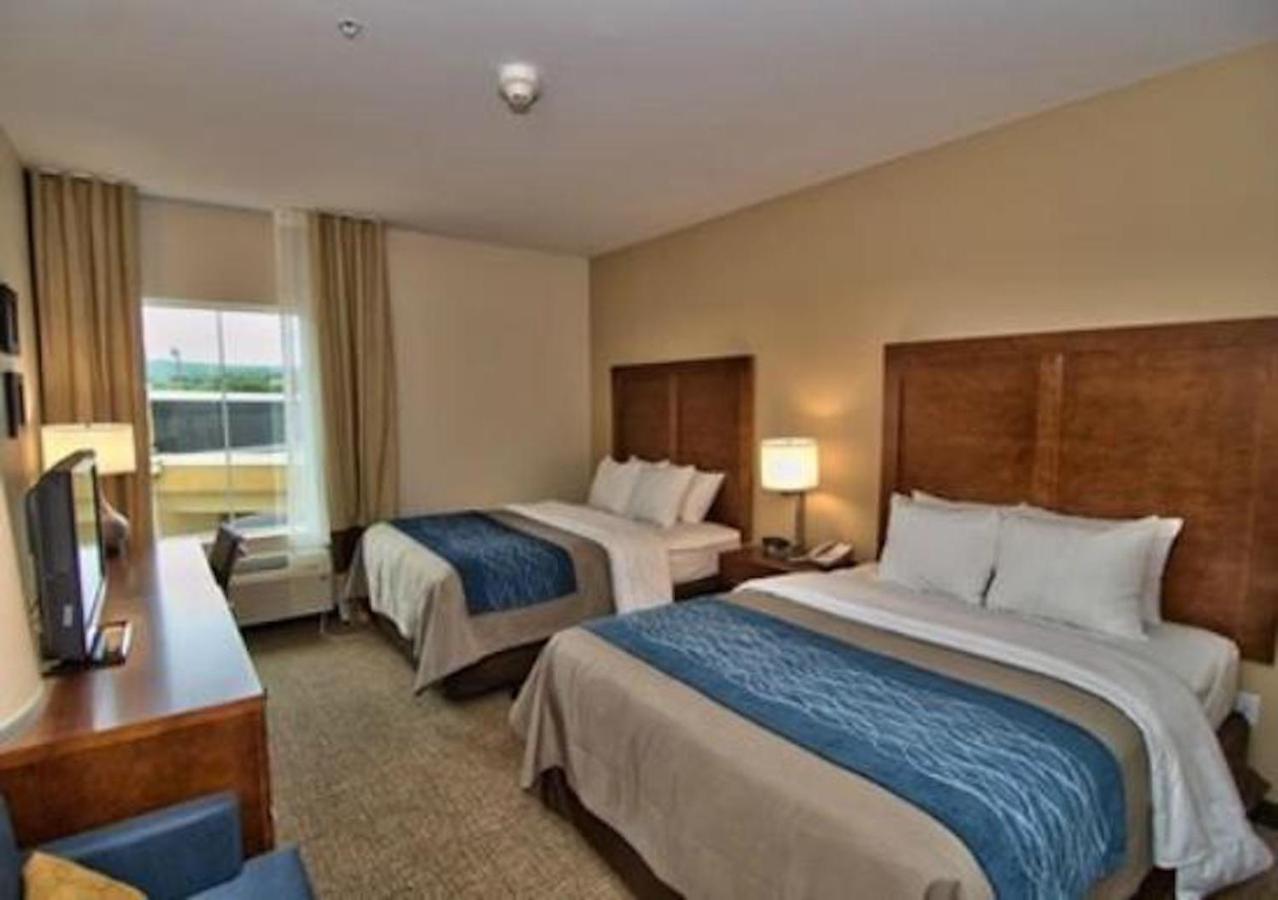 Comfort Inn Apalachin - Binghamton W Route 17 Екстериор снимка