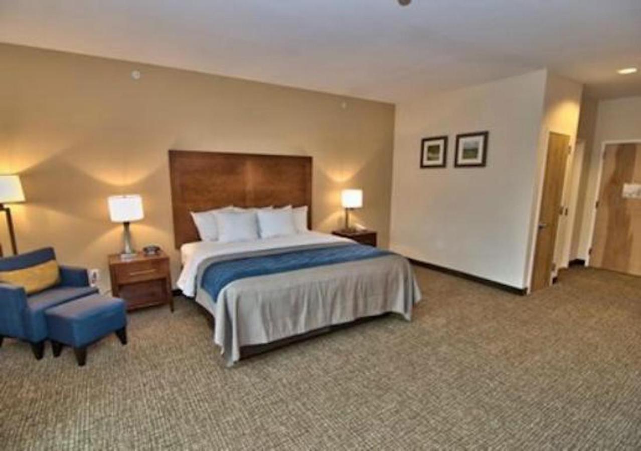 Comfort Inn Apalachin - Binghamton W Route 17 Екстериор снимка