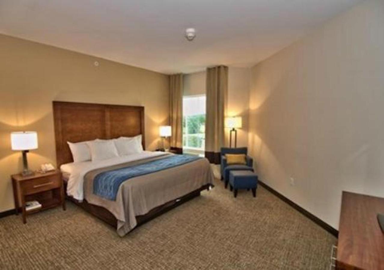 Comfort Inn Apalachin - Binghamton W Route 17 Екстериор снимка