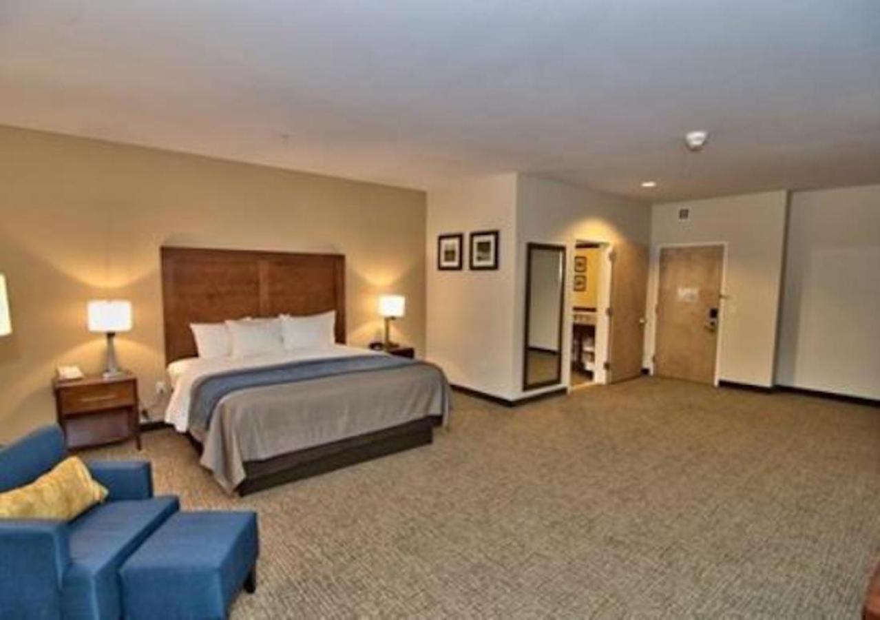 Comfort Inn Apalachin - Binghamton W Route 17 Екстериор снимка