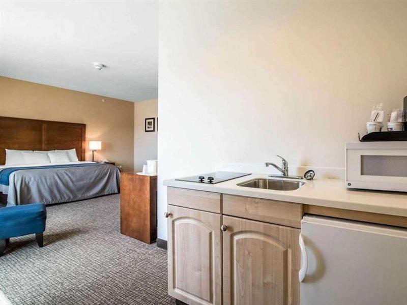 Comfort Inn Apalachin - Binghamton W Route 17 Екстериор снимка