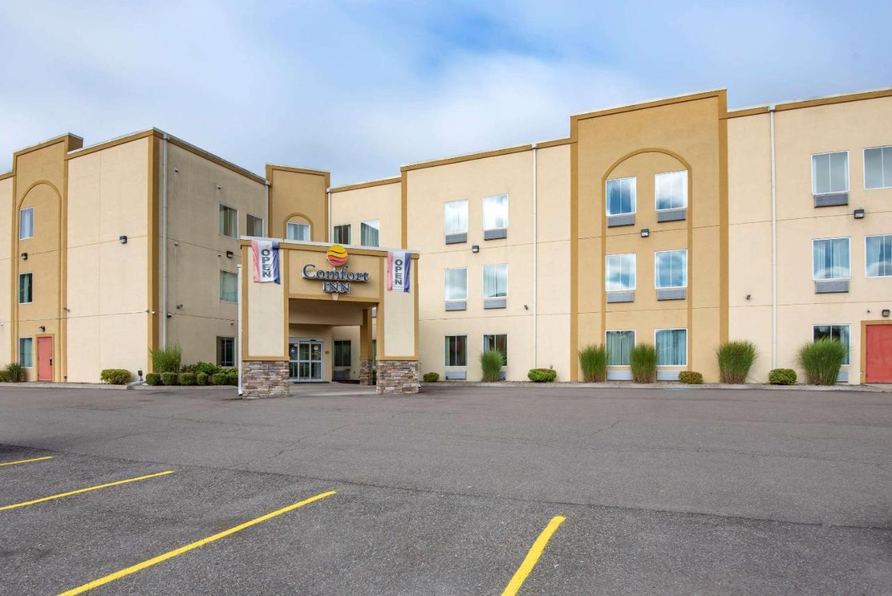 Comfort Inn Apalachin - Binghamton W Route 17 Екстериор снимка