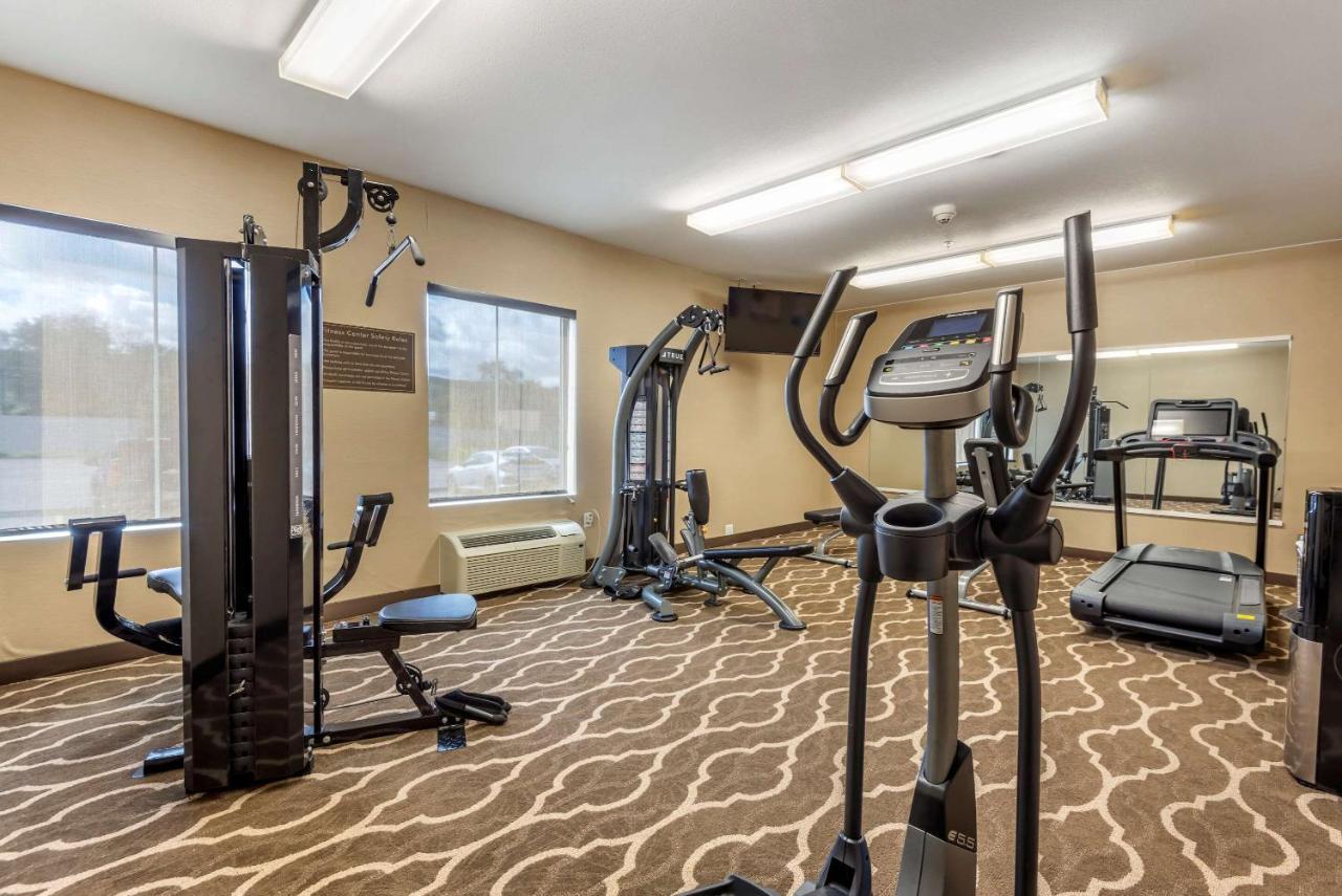 Comfort Inn Apalachin - Binghamton W Route 17 Екстериор снимка