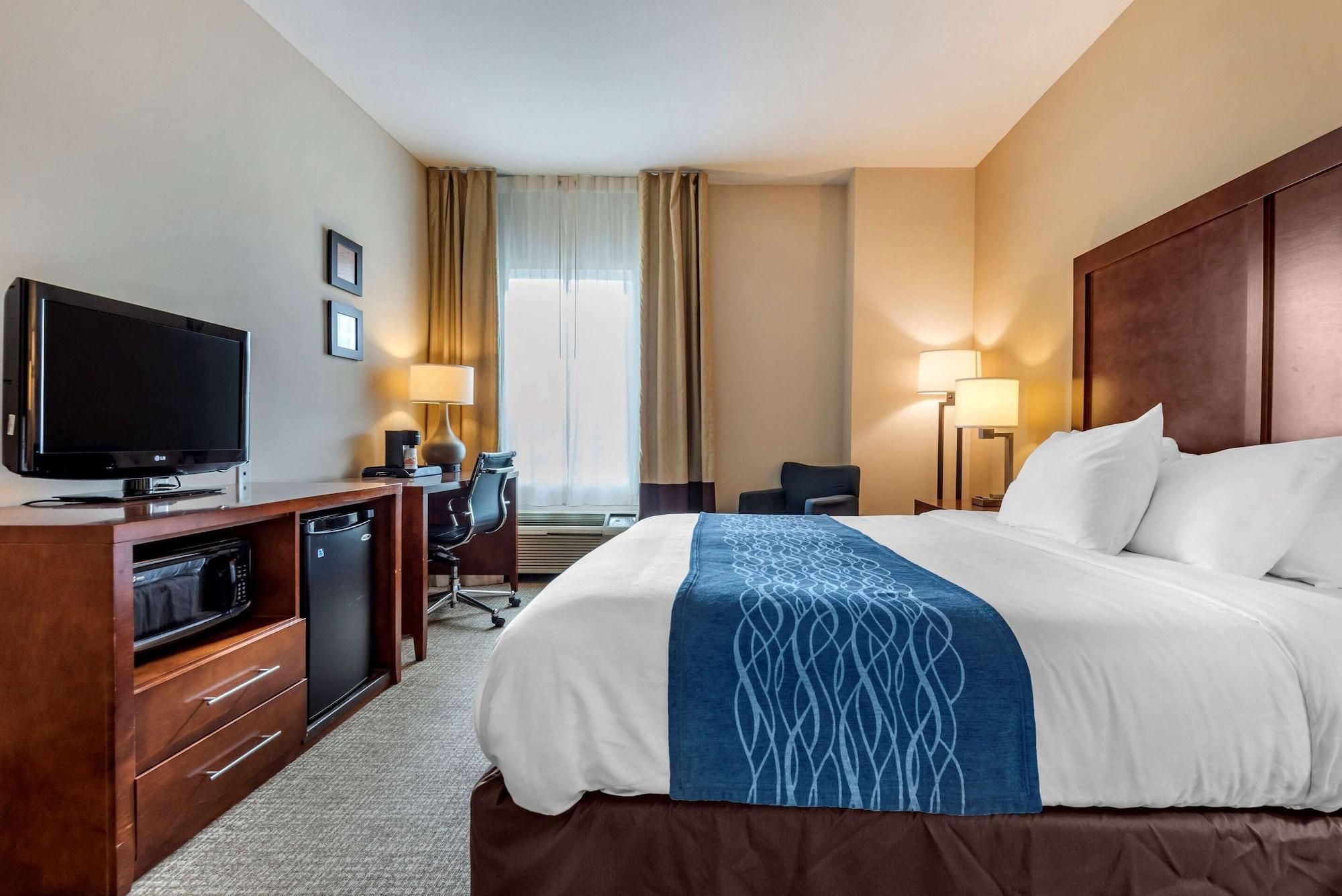 Comfort Inn Apalachin - Binghamton W Route 17 Екстериор снимка