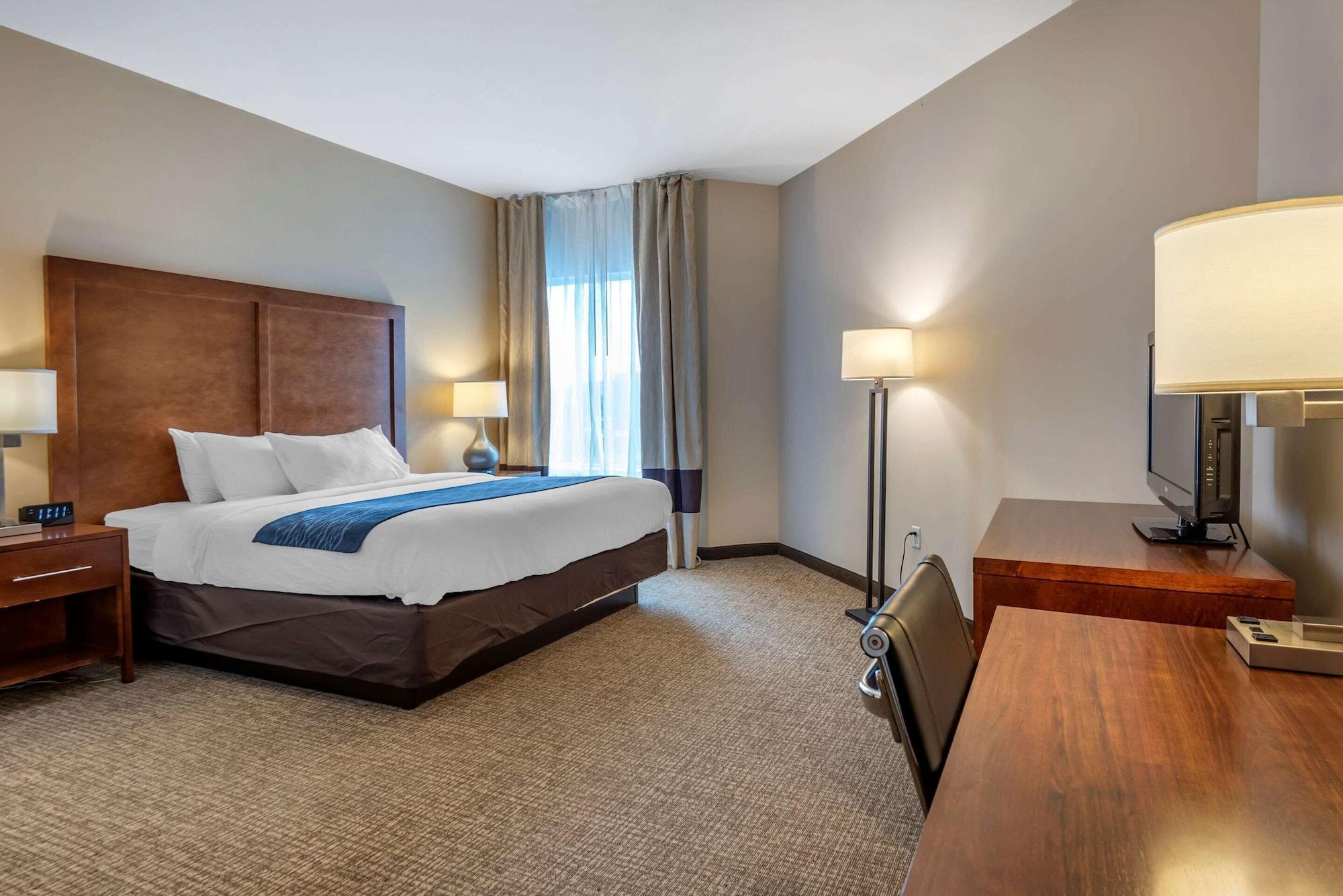 Comfort Inn Apalachin - Binghamton W Route 17 Екстериор снимка