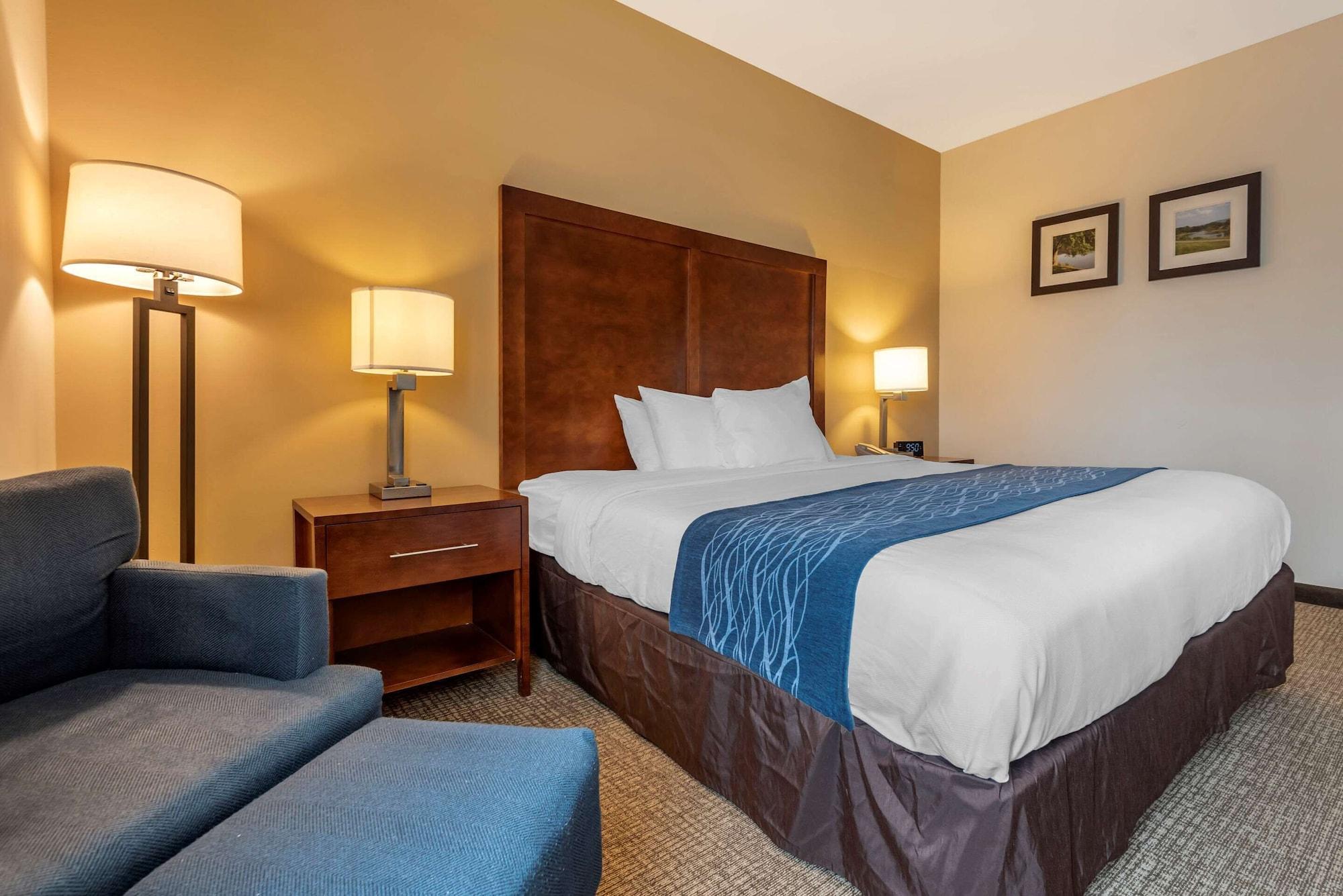 Comfort Inn Apalachin - Binghamton W Route 17 Екстериор снимка