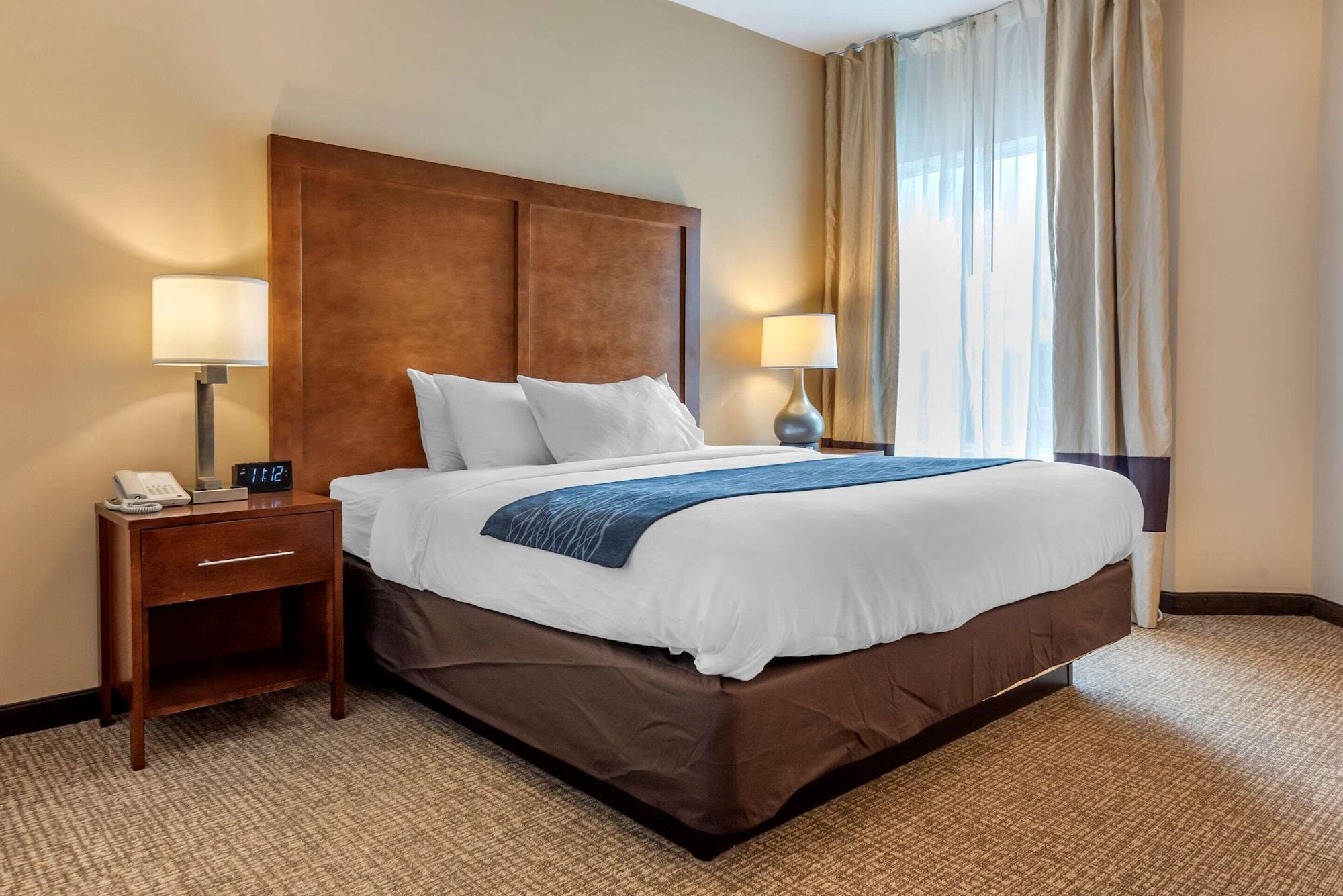 Comfort Inn Apalachin - Binghamton W Route 17 Екстериор снимка