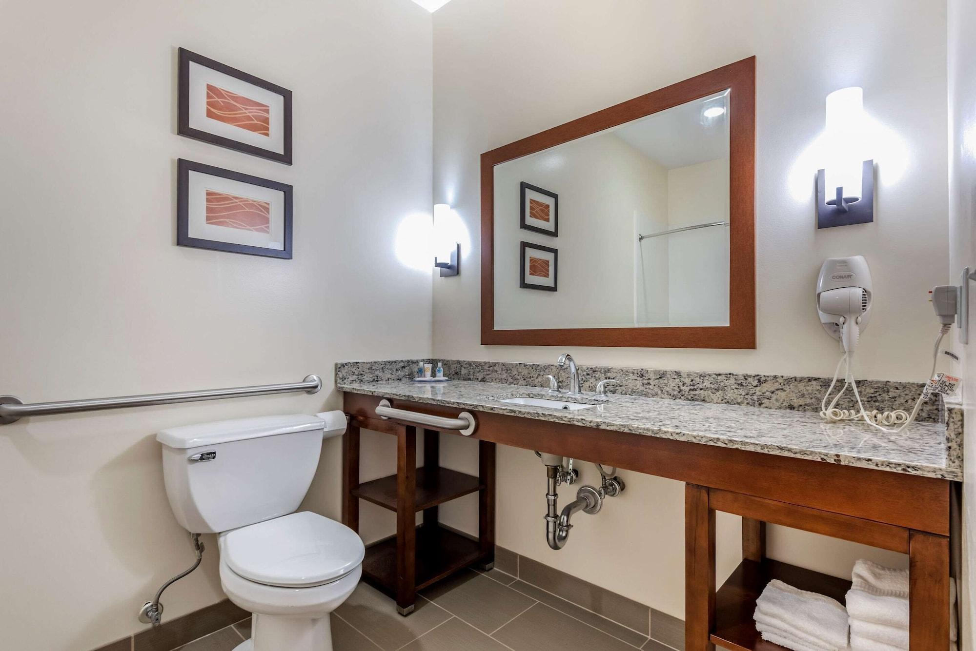 Comfort Inn Apalachin - Binghamton W Route 17 Екстериор снимка