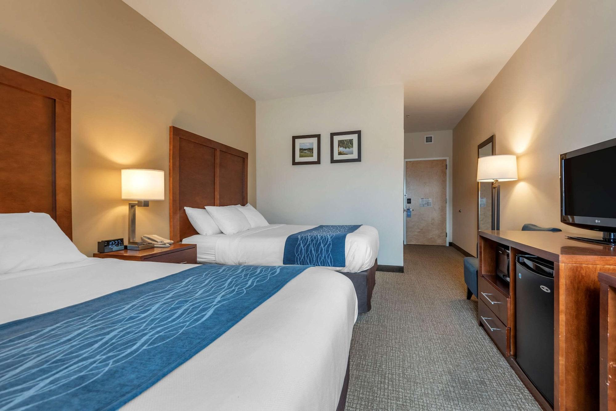 Comfort Inn Apalachin - Binghamton W Route 17 Екстериор снимка