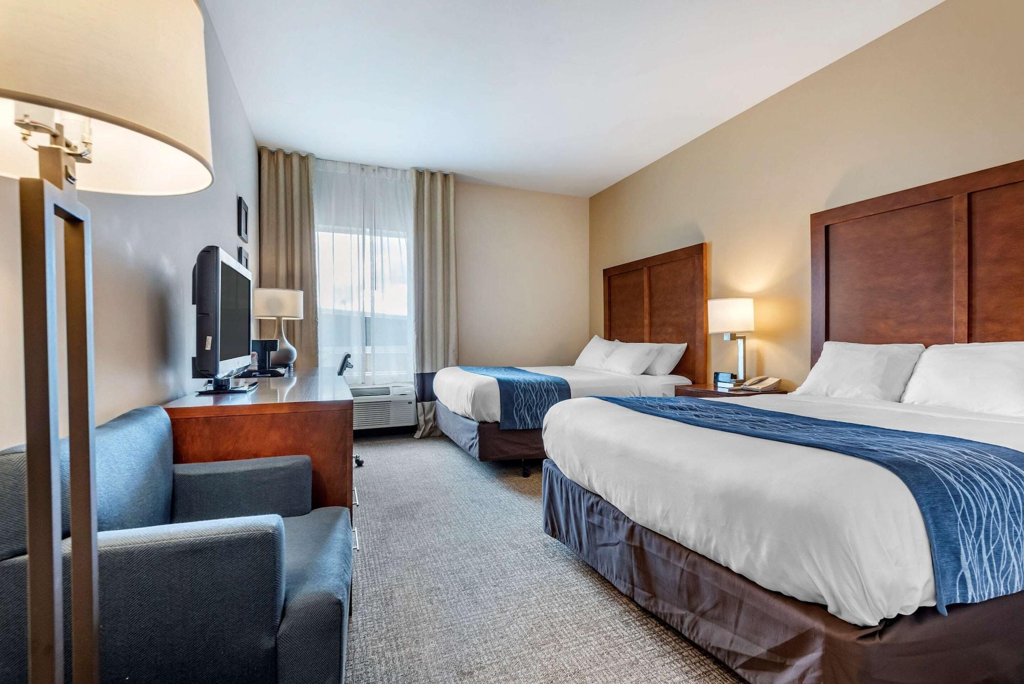 Comfort Inn Apalachin - Binghamton W Route 17 Екстериор снимка