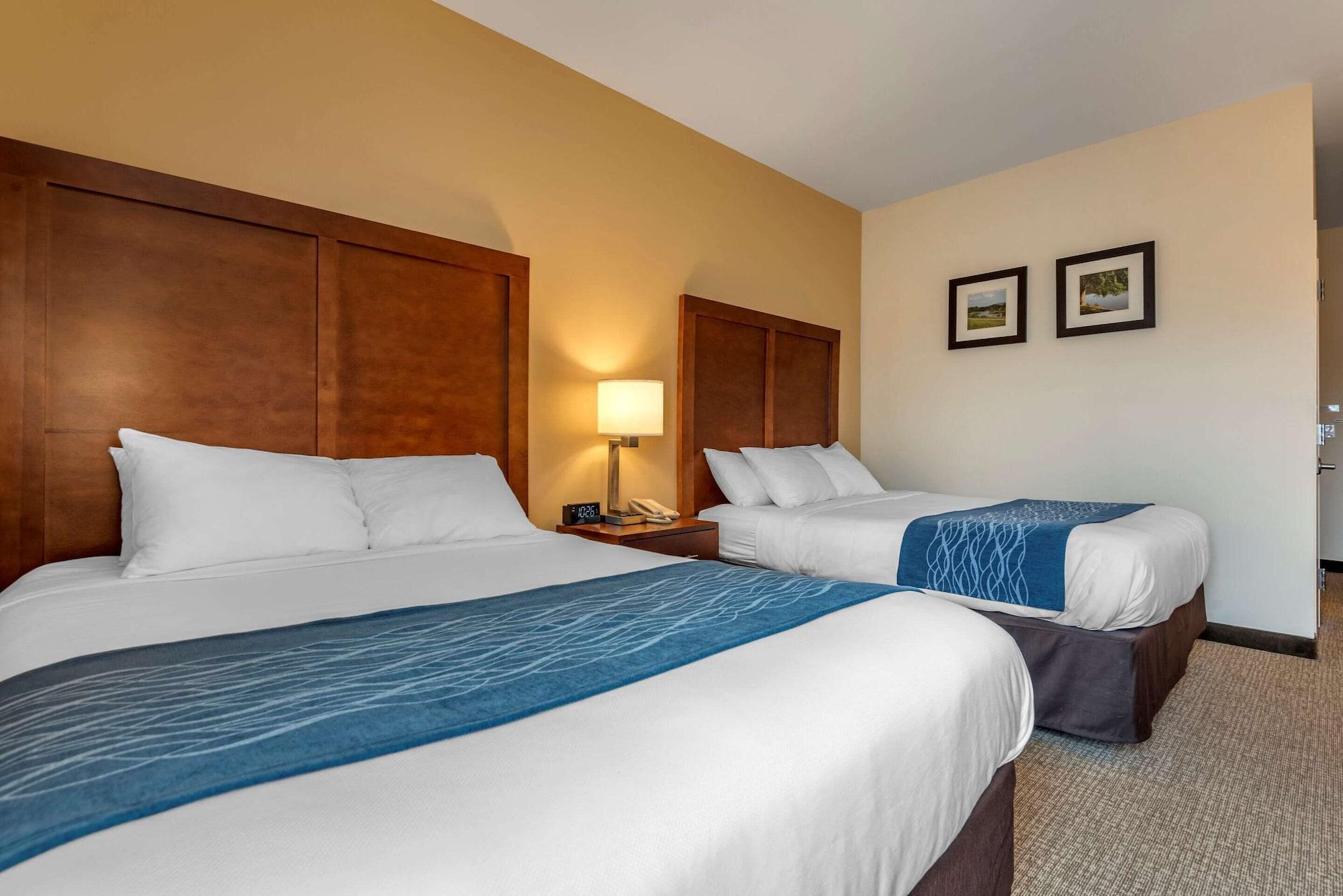 Comfort Inn Apalachin - Binghamton W Route 17 Екстериор снимка