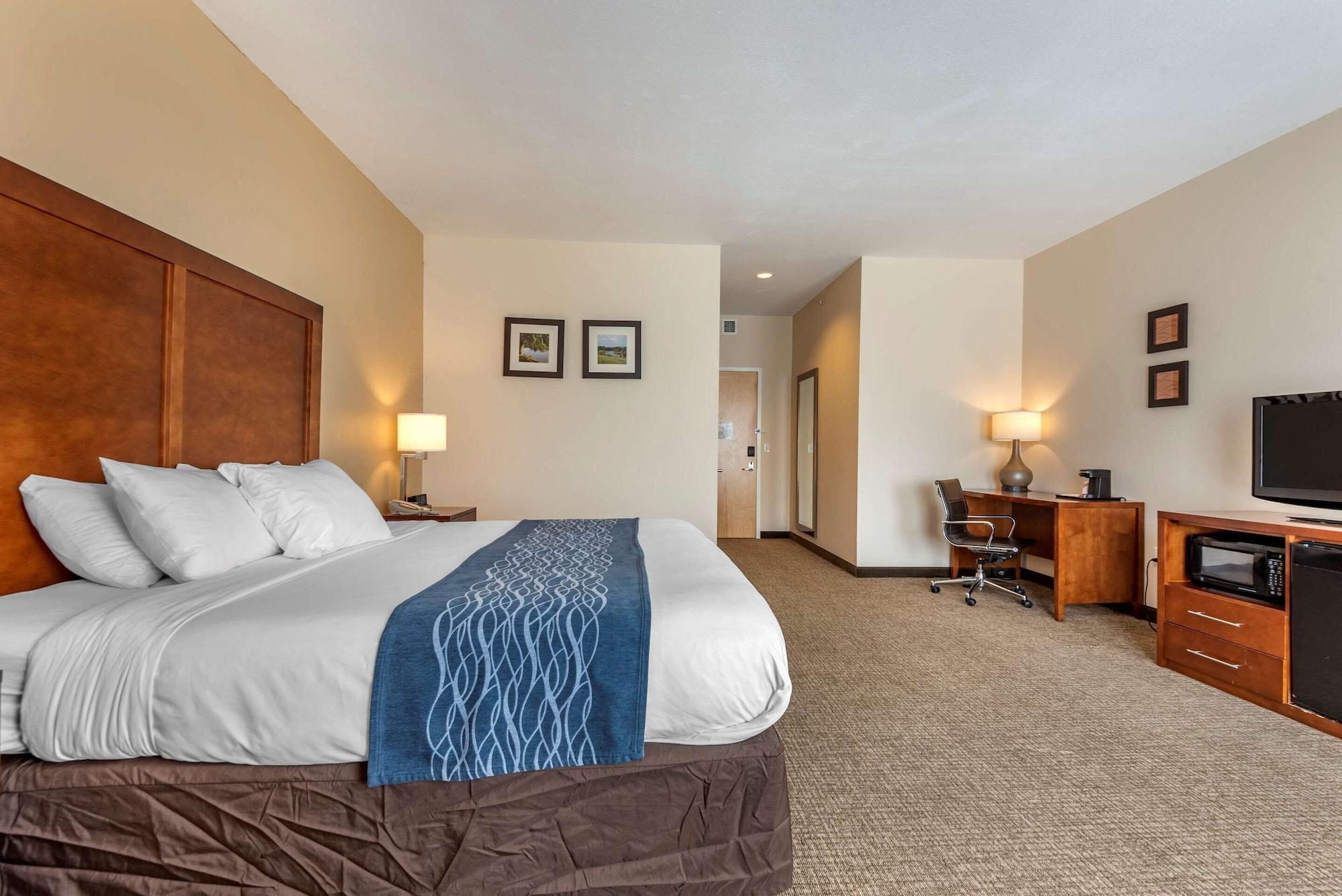 Comfort Inn Apalachin - Binghamton W Route 17 Екстериор снимка