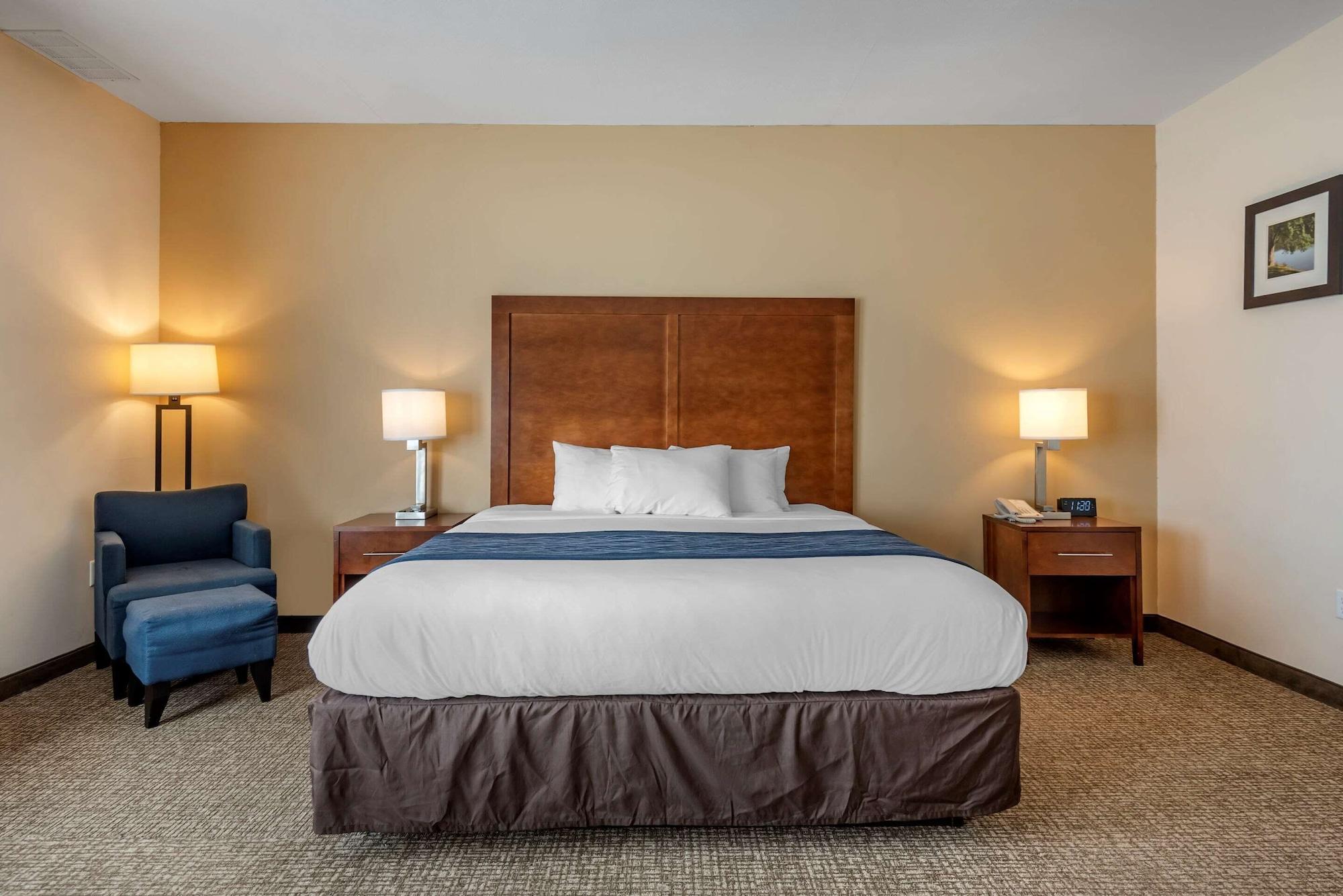 Comfort Inn Apalachin - Binghamton W Route 17 Екстериор снимка