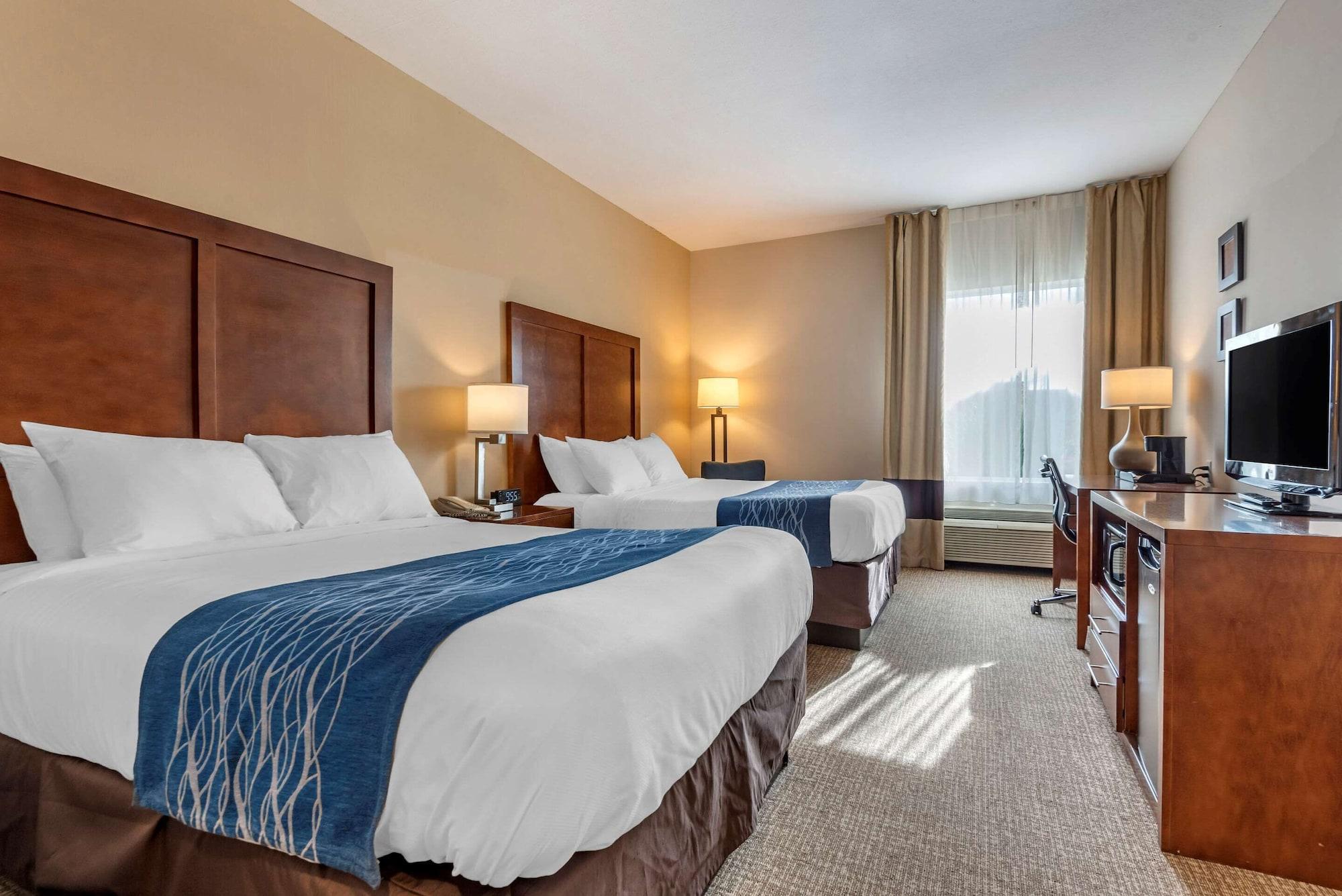 Comfort Inn Apalachin - Binghamton W Route 17 Екстериор снимка