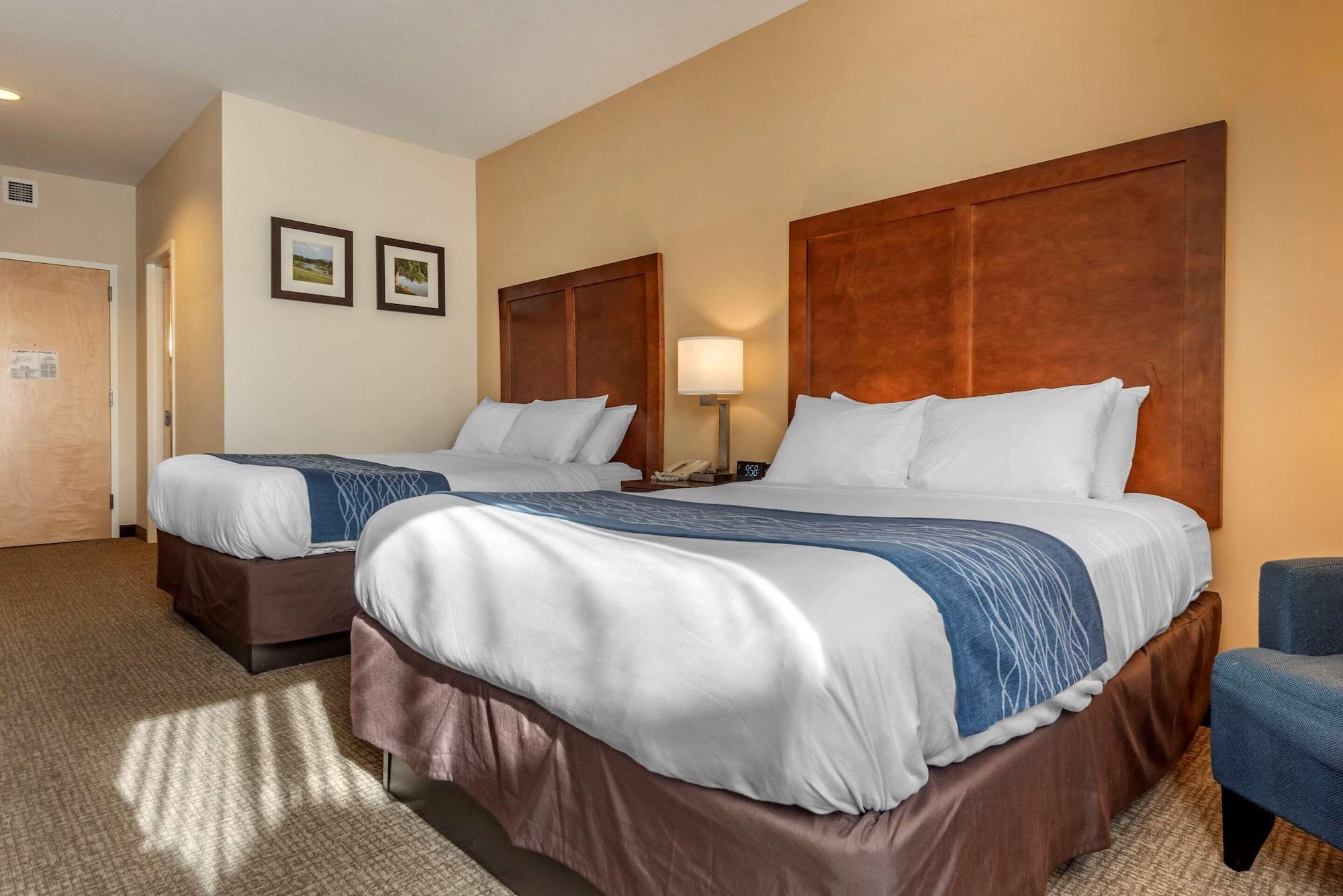 Comfort Inn Apalachin - Binghamton W Route 17 Екстериор снимка