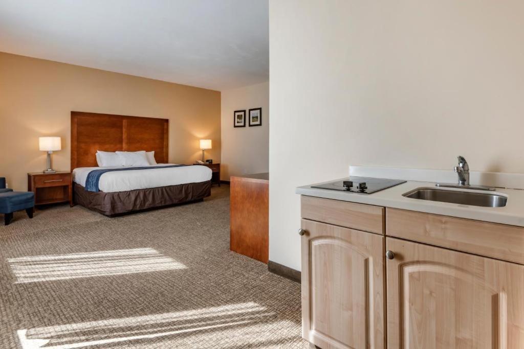 Comfort Inn Apalachin - Binghamton W Route 17 Екстериор снимка