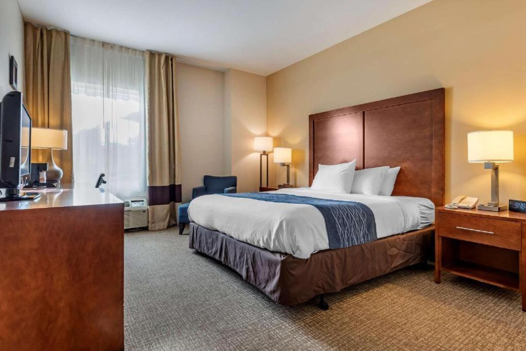 Comfort Inn Apalachin - Binghamton W Route 17 Екстериор снимка