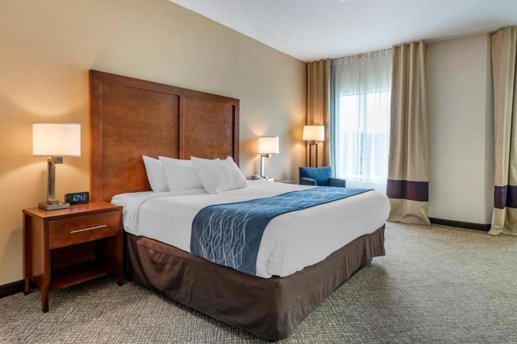 Comfort Inn Apalachin - Binghamton W Route 17 Екстериор снимка
