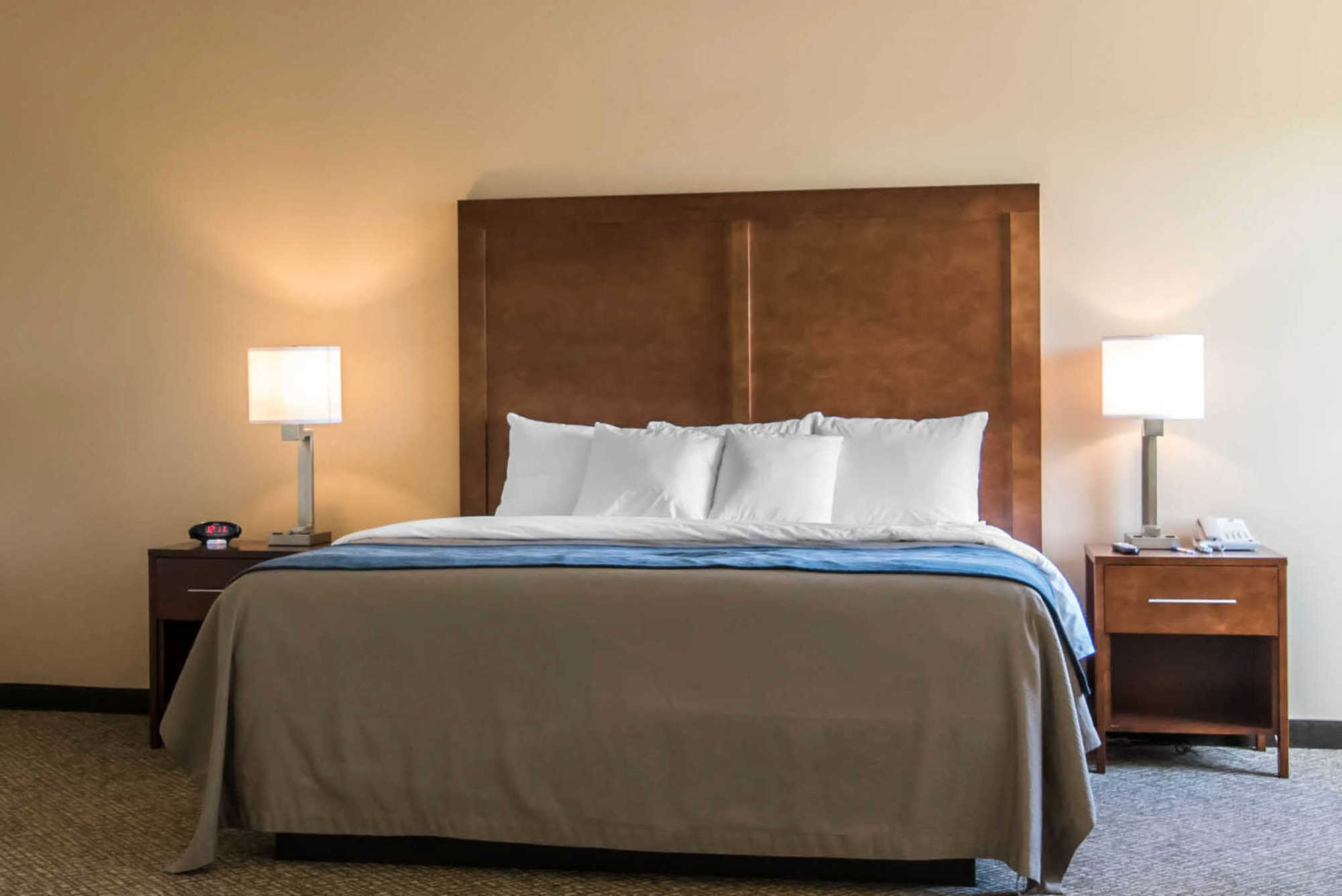 Comfort Inn Apalachin - Binghamton W Route 17 Стая снимка