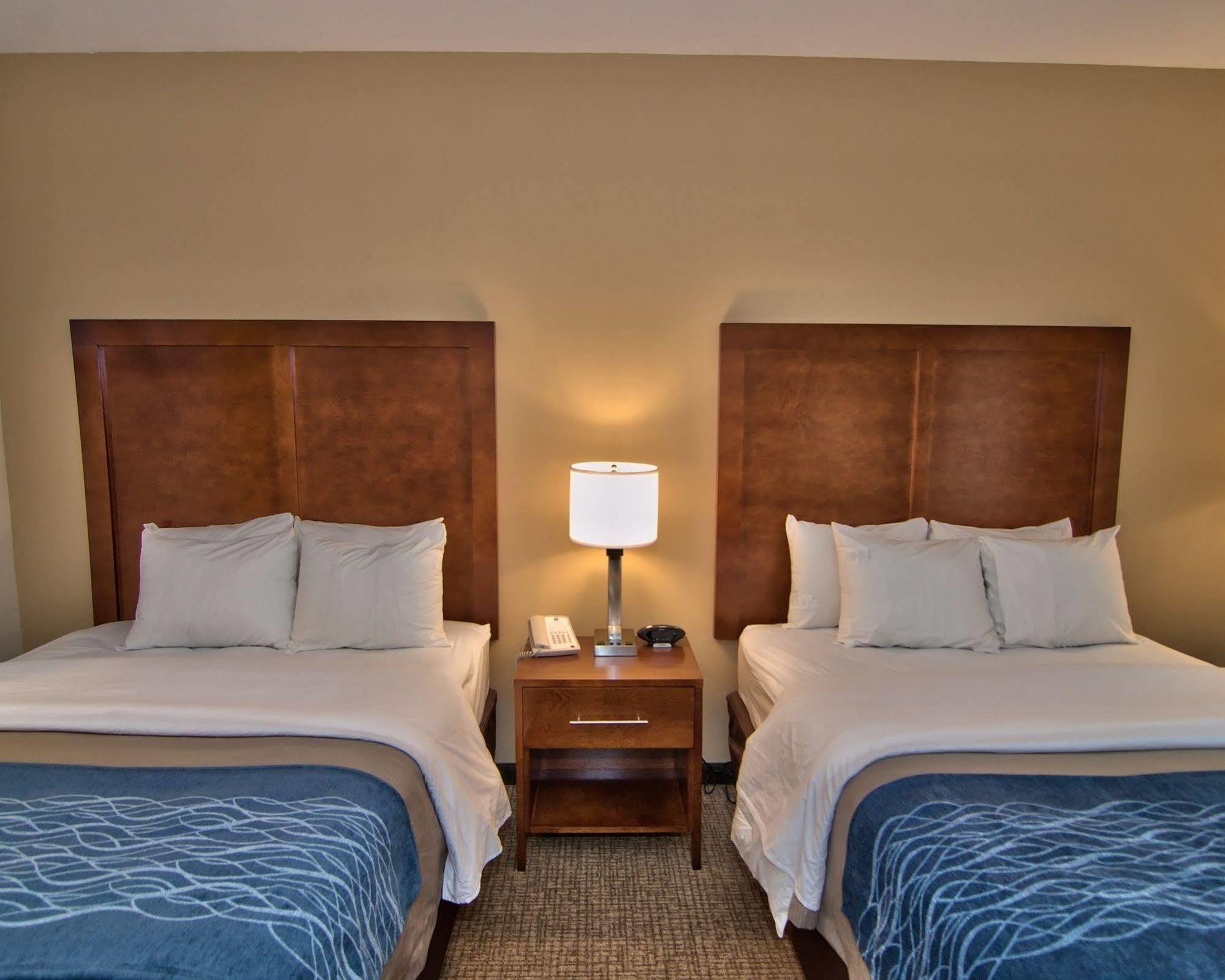 Comfort Inn Apalachin - Binghamton W Route 17 Екстериор снимка